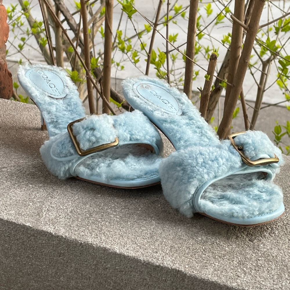 Coach Blue Mules